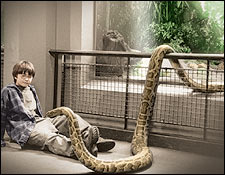 snake.jpg